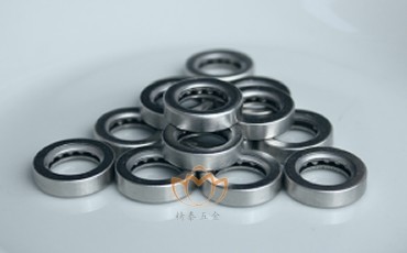 304合页轴承